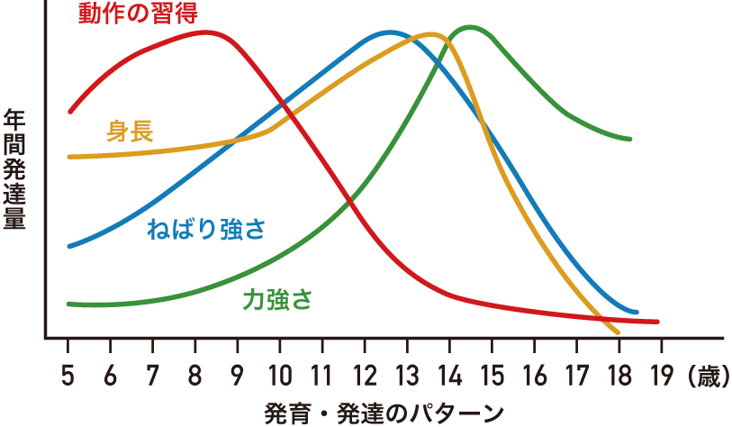 発育発達パターンと年齢別強化方針のグラフ